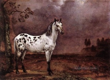 Caballo Painting - amc0019D1 animal caballo